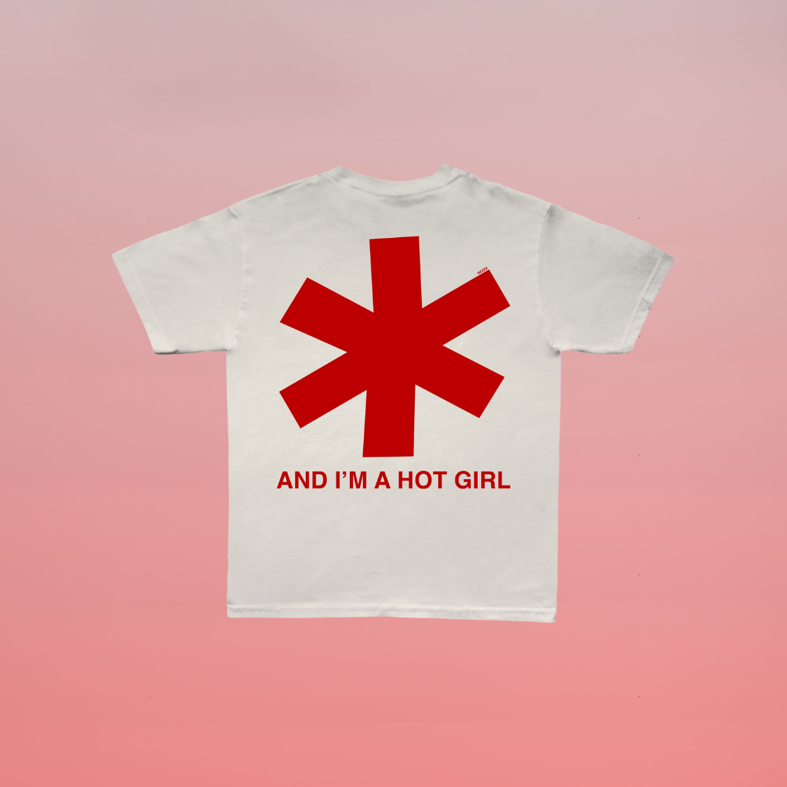 'Hot Girls Listen to NEZZA' T-Shirt